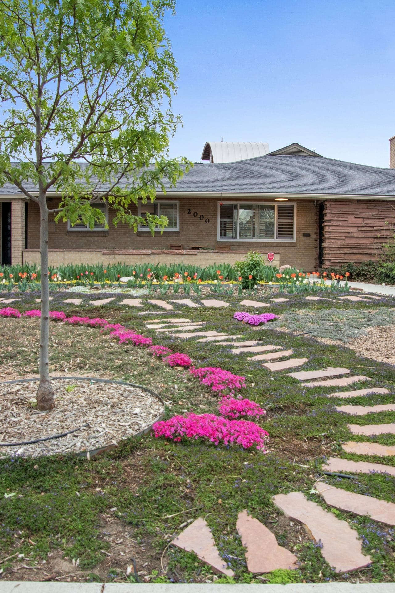 Flagstone path with creeping phlox and Turkish veronica beneath the young tree