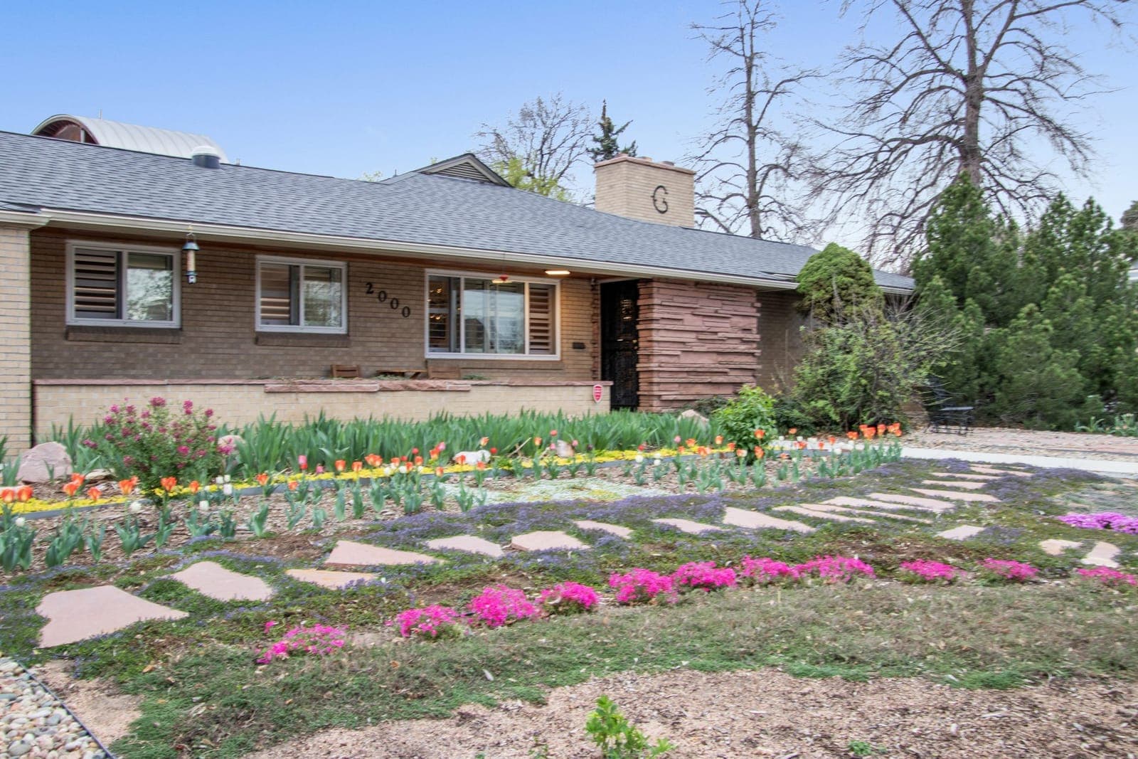Close view of the front beds: tulips, Turkish veronica, and creeping phlox