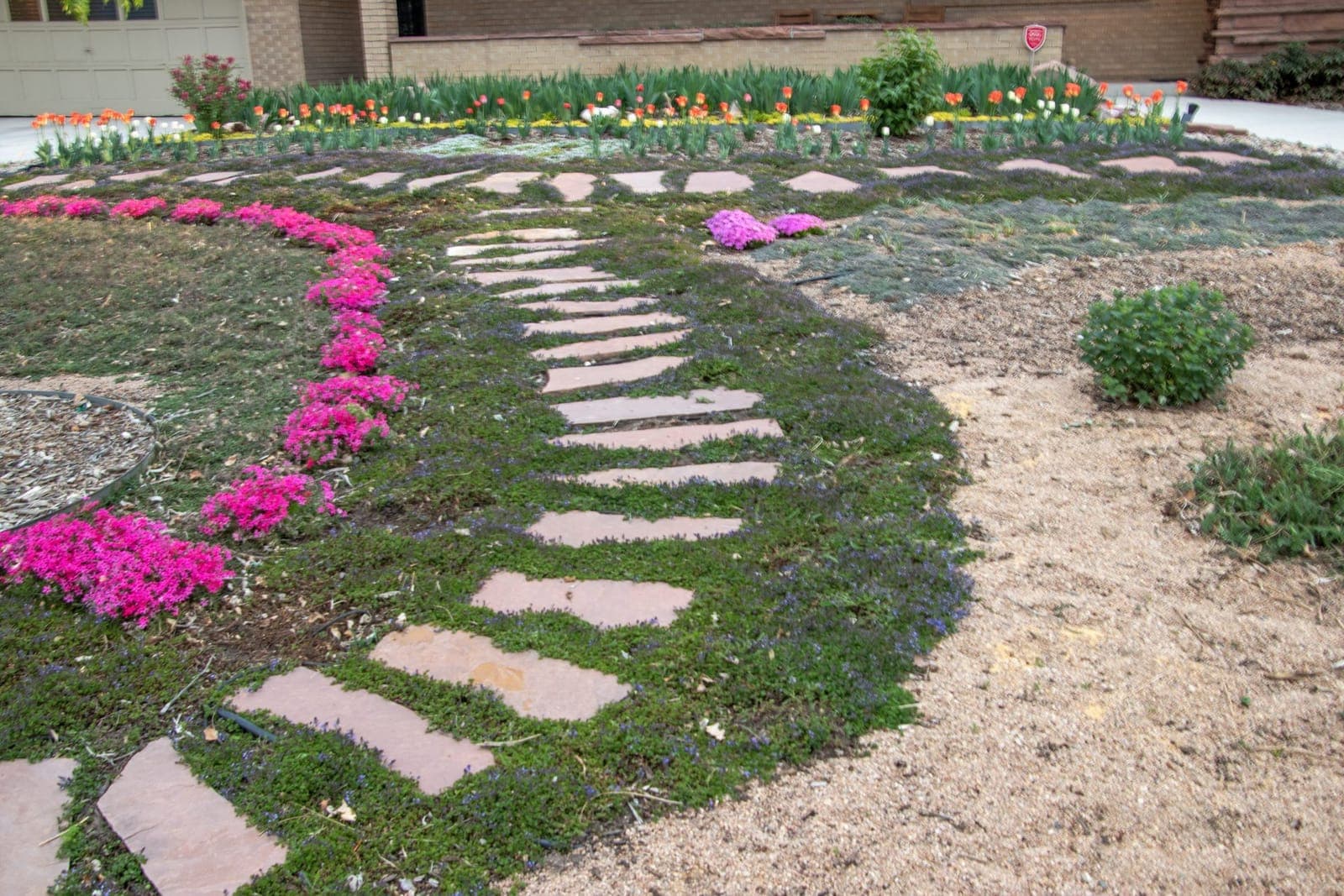 Flagstone path bordered by creeping phlox and Turkish veronica groundcover