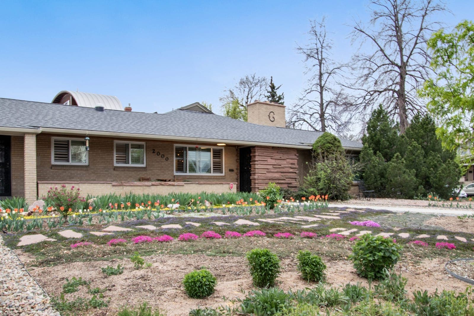 Spring xeriscape in full bloom at the front of the house: tulips, Turkish veronica, and creeping phlox